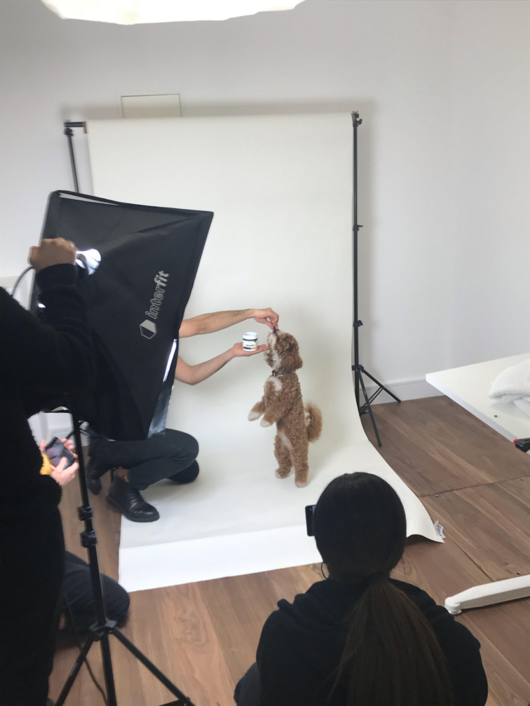 Pet Lab Co Another PETacular Success